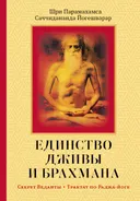 Единство Дживы и Брахмана. Секрет Веданты. Часть I.