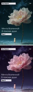 Мечта Вселенной. В поисках души: в 2-х томах. 