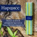 Благовоние Narcissues (Нарцисс), 40 палочек по 14 см.