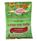 Рупникар (Roopnikhar powder facepack) 100 г.