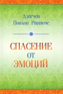 Спасение от эмоций. Как работать со своими эмоциями и трансформировать боль и смятение в энергию, дающую силы. 