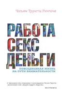 Работа, секс, деньги. Повседневная жизнь на пути внимательности. 