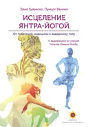 Исцеление янтра-йогой. От тибетской медицины к тонкому телу. 