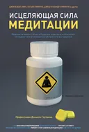 Исцеляющая сила медитации. Ведущие эксперты в области буддизма, медицины и психологии исследуют пользу созерцательной практики для здоровья.