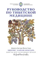 Руководство по тибетской медицине. Зинтиг. Капли нектара. Заметки для начинающих врачей.