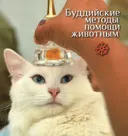 Буддийские методы помощи животным.