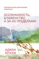 Осознанность, блаженство и за их пределами. Руководство для практикующих медитацию.