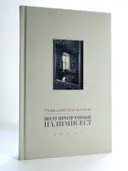 Полупрозрачный палимпсест: рассказы, эссе и заметки. 