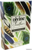 Divine Feather Messenger Oracle. Оракул Послание божественного пера. 