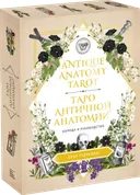 Antique Anatomy Tarot. Таро Античной Анатомии на русском языке. 