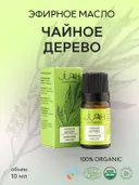 Эфирное масло Чайное дерево JIAH Essentials, 10 мл. 
