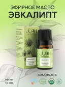 Эфирное масло Эвкалипт JIAH Essentials, 10 мл. 