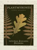 Деревянная брошка ДУБОВЫЙ ЛИСТОЧЕК, 2,5 х 5,5 см. 