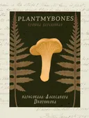 Деревянная брошь ЛИСИЧКА, 3 х 4 см. 