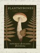 Деревянная брошка ПОДОСИНОВИК С ЛИСТИКОМ, 3 х 6 см. 